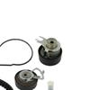 SKF Water Pump And Timing Belt Set VKMC 01122