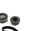 SKF Water Pump And Timing Belt Set VKMC 01130