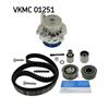 SKF Water Pump And Timing Belt Set VKMC 01251