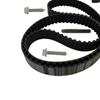 SKF Water Pump And Timing Belt Set VKMC 01251