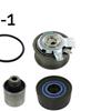 SKF Water Pump And Timing Belt Set VKMC 01255-1