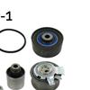 SKF Water Pump And Timing Belt Set VKMC 01259-1