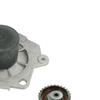 SKF Water Pump And Timing Belt Set VKMC 02176