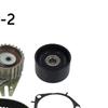 SKF Water Pump And Timing Belt Set VKMC 02190-2