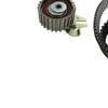 SKF Water Pump And Timing Belt Set VKMC 02194