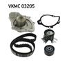 SKF Water Pump And Timing Belt Set VKMC 03205