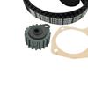 SKF Water Pump And Timing Belt Set VKMC 04107-3