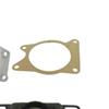 SKF Water Pump And Timing Belt Set VKMC 04202