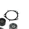 SKF Water Pump And Timing Belt Set VKMC 05193