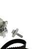 SKF Water Pump And Timing Belt Set VKMC 06021