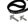 SKF Water Pump And Timing Belt Set VKMC 06134-1