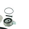 SKF Water Pump And Timing Belt Set VKMC 90202