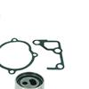 SKF Water Pump And Timing Belt Set VKMC 96010