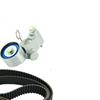 SKF Water Pump And Timing Belt Set VKMC 98109