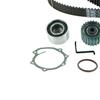 SKF Water Pump And Timing Belt Set VKMC 98109