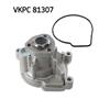 SKF Water Pump VKPC 81307