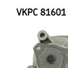 SKF Water Pump VKPC 81601