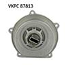 SKF Water Pump VKPC 87813